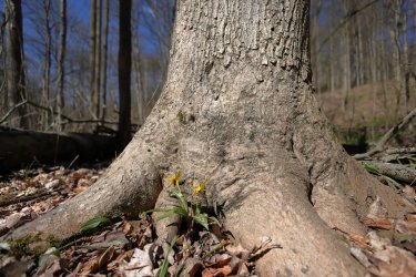 0O7A3633.JPG 0O7A3633.JPG