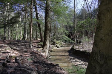 0O7A3634.JPG 0O7A3634.JPG