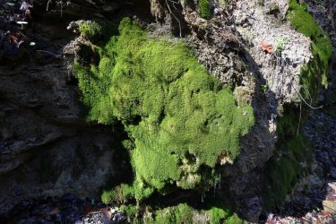 0O7A3635.JPG 0O7A3635.JPG