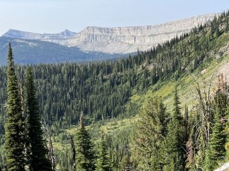 IMG_2311.jpg IMG_2311.jpg