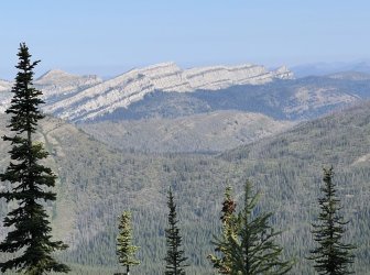 IMG_2315.jpg IMG_2315.jpg