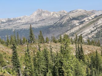 IMG_2327.jpg IMG_2327.jpg