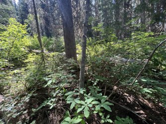 IMG_2330.jpg IMG_2330.jpg