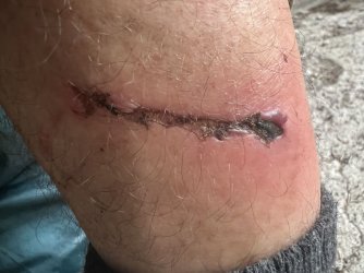 IMG_2598.jpg IMG_2598.jpg