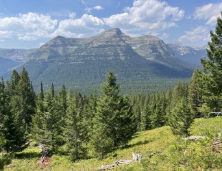 IMG_2337.jpg IMG_2337.jpg