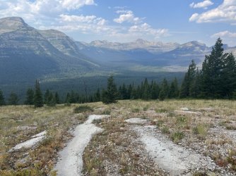 IMG_2341.jpg IMG_2341.jpg