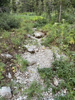 IMG_2375.jpg IMG_2375.jpg