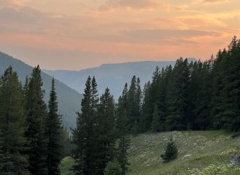 IMG_2380.jpg IMG_2380.jpg