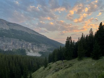 IMG_2382.jpg IMG_2382.jpg