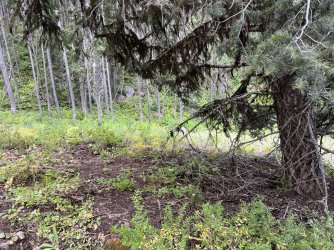 IMG_2384.jpg IMG_2384.jpg