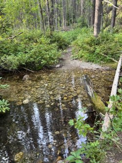 IMG_2386.jpg IMG_2386.jpg