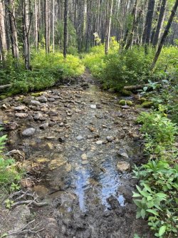 IMG_2387.jpg IMG_2387.jpg