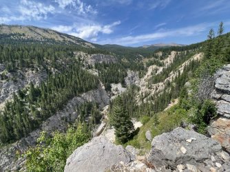 IMG_2394.jpg IMG_2394.jpg