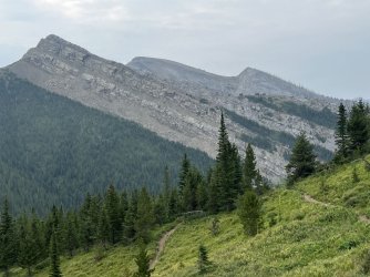 IMG_2415.jpg IMG_2415.jpg