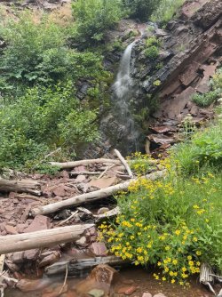 IMG_2429a.jpg IMG_2429a.jpg