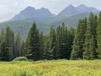 IMG_2433.jpg IMG_2433.jpg