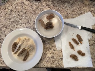 thumbnail_IMG_1755.jpg thumbnail_IMG_1755.jpg