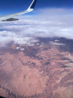 Screen Shot 2024-05-05 at 4.49.30 PM.png