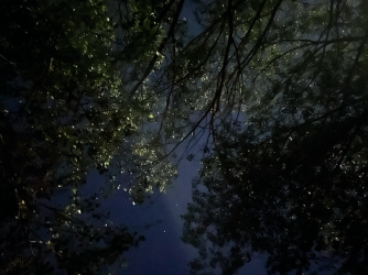 Screen Shot 2024-05-05 at 5.00.20 PM.png