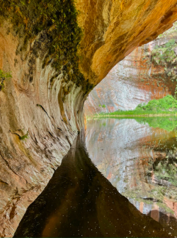 Screen Shot 2024-05-05 at 5.08.19 PM.png