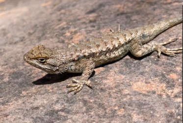 Screen Shot 2024-05-05 at 5.10.09 PM.png