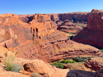 Screen Shot 2024-05-05 at 5.31.43 PM.png