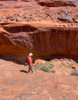 Screen Shot 2024-05-05 at 5.39.58 PM.png