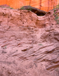 Screen Shot 2024-05-05 at 5.45.38 PM.png