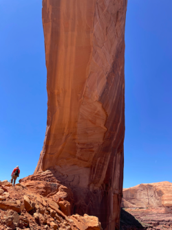 Screen Shot 2024-05-05 at 5.57.44 PM.png