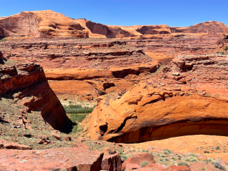 Screen Shot 2024-05-05 at 6.01.33 PM.png