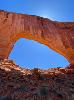 Screen Shot 2024-05-05 at 6.03.03 PM.png