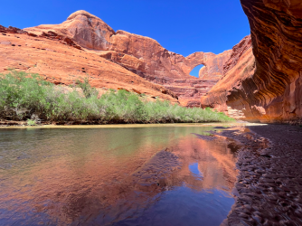 Screen Shot 2024-05-05 at 6.08.13 PM.png