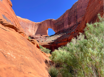 Screen Shot 2024-05-05 at 6.17.08 PM.png