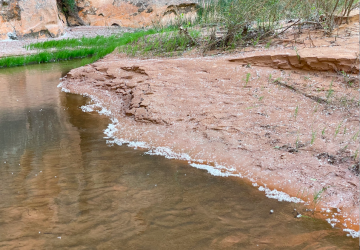 Screen Shot 2024-05-05 at 7.34.18 PM.png