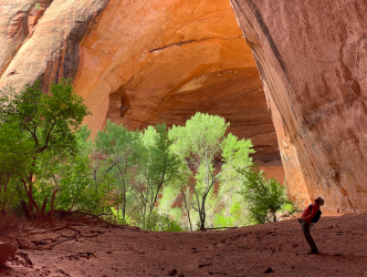 Screen Shot 2024-05-05 at 7.56.58 PM.png