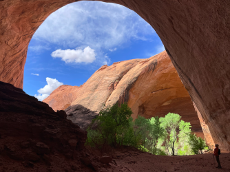 Screen Shot 2024-05-05 at 7.56.46 PM.png