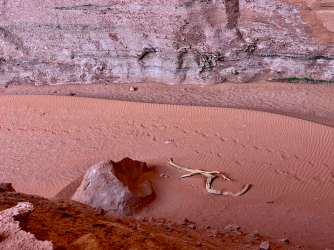 Screen Shot 2024-05-05 at 7.56.35 PM.png