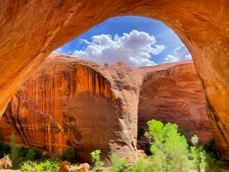 Screen Shot 2024-05-05 at 8.00.12 PM.png