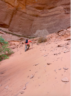 Screen Shot 2024-05-05 at 7.59.52 PM.png