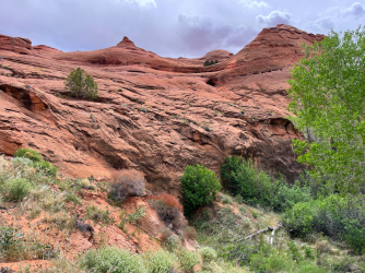 Screen Shot 2024-05-05 at 8.07.08 PM.png