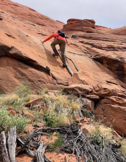 Screen Shot 2024-05-05 at 8.43.04 PM.png