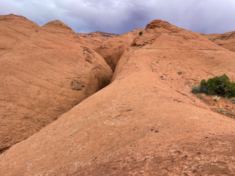 Screen Shot 2024-05-05 at 9.00.06 PM.png