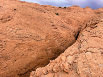 Screen Shot 2024-05-05 at 8.59.52 PM.png