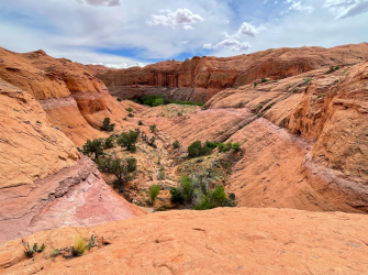 Screen Shot 2024-05-05 at 8.59.14 PM.png