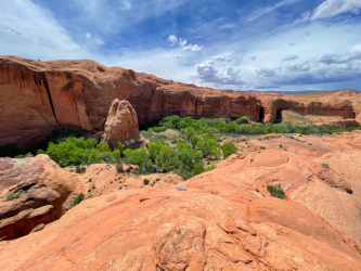 Screen Shot 2024-05-05 at 8.59.01 PM.png