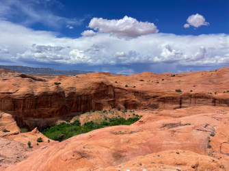 Screen Shot 2024-05-05 at 8.58.39 PM.png