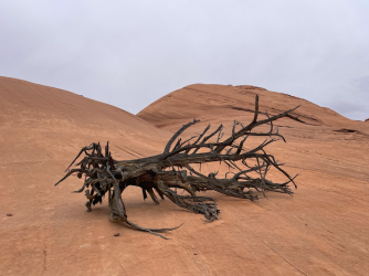 Screen Shot 2024-05-05 at 9.08.30 PM.png