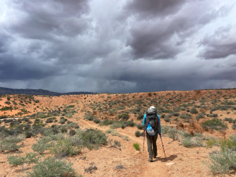 Screen Shot 2024-05-05 at 9.11.46 PM.png