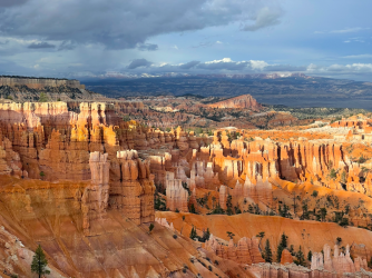 Screen Shot 2024-05-05 at 9.17.38 PM.png