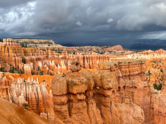 Screen Shot 2024-05-05 at 9.17.13 PM.png